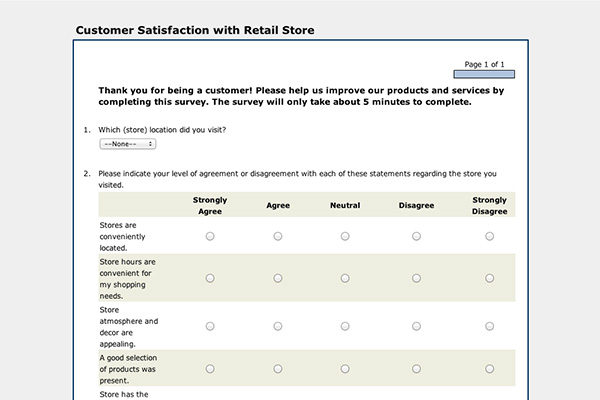 Customer Satisfaction Surveys